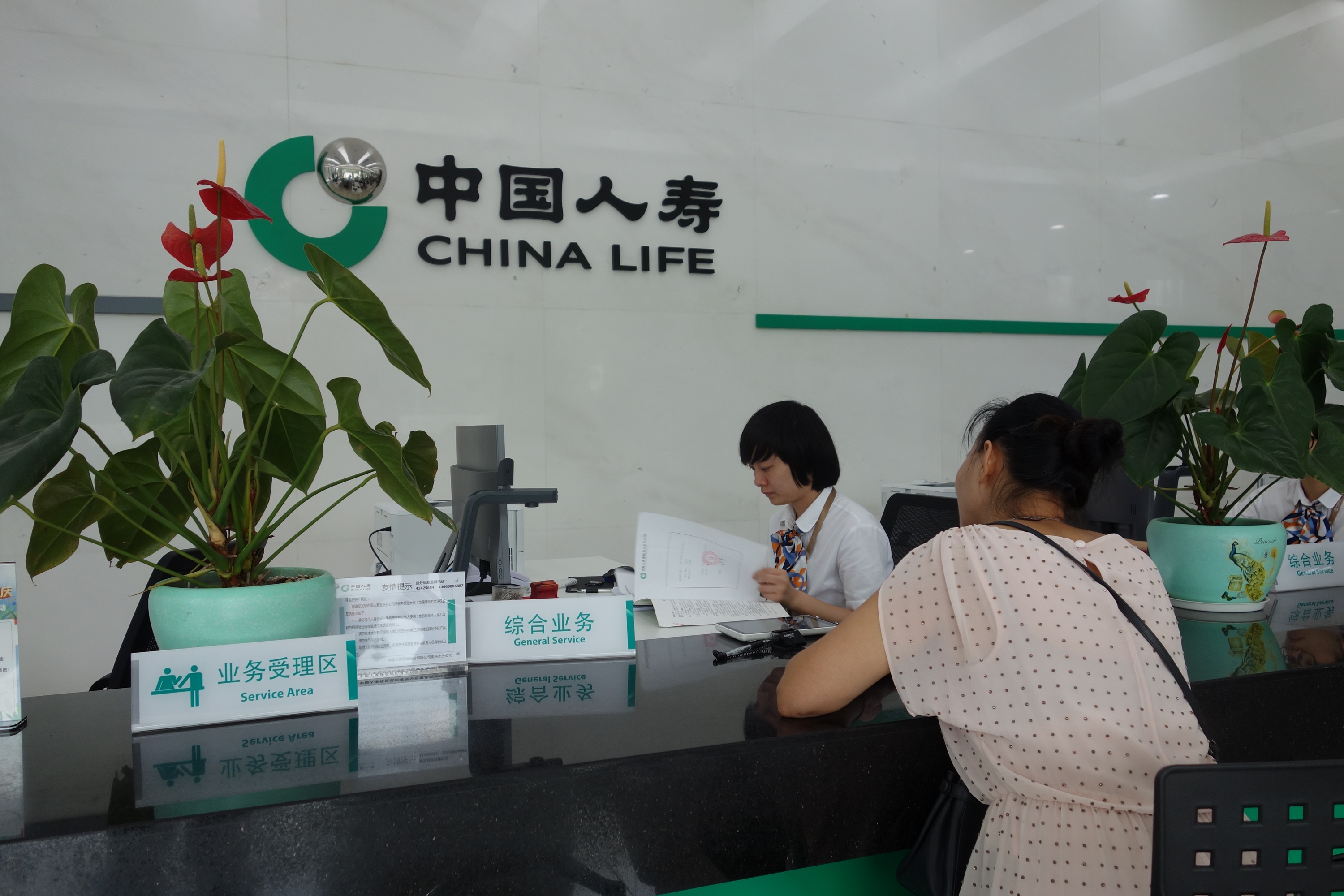 普惠金融存量投资规模达1486亿元，国寿寿险坚持做“负责任”的寿险公司