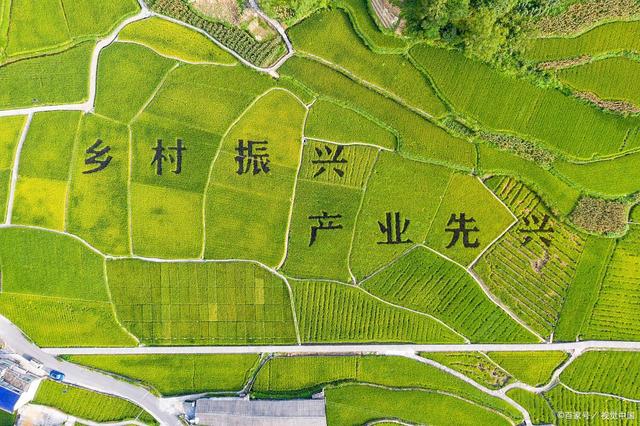 头雁振翅向未来｜中国人寿以ESG实践书写高质量发展新答卷