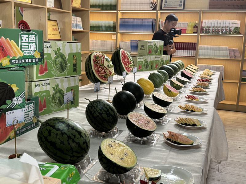 北京自主培育“五色三味”炫彩西瓜发布