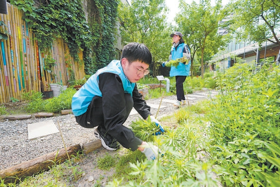 中关村村史馆呈现“万物共生”